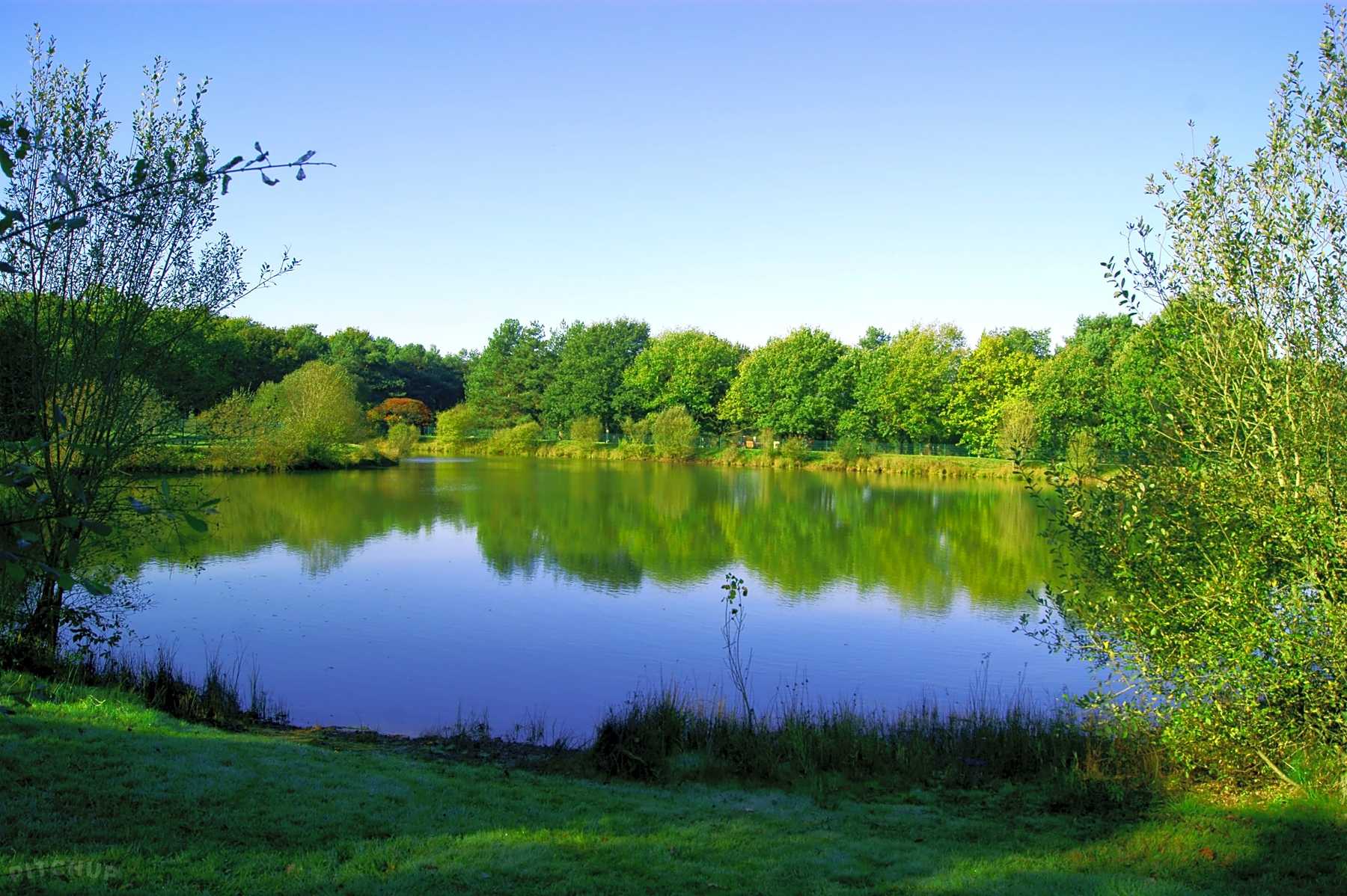 Lac de la Chausselière