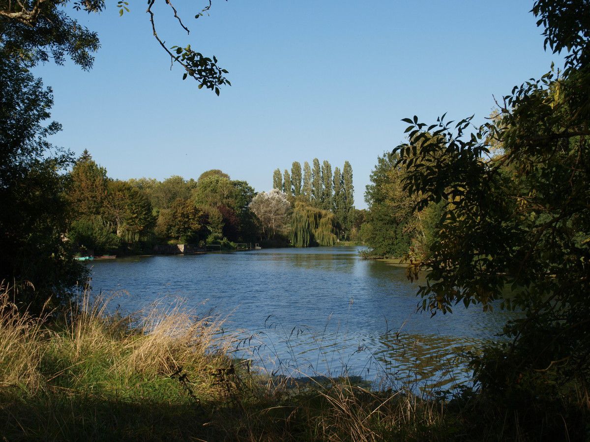 Marshes of Cré sur Loir
