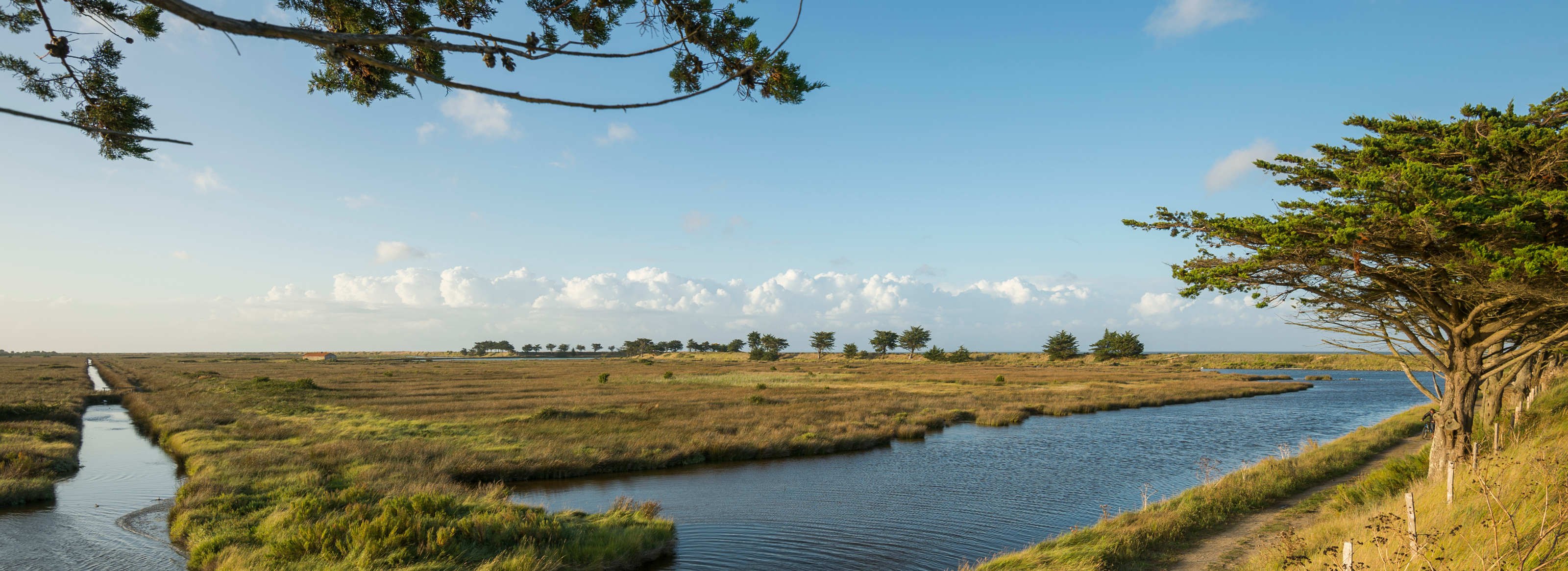 Polder de Sébastopol