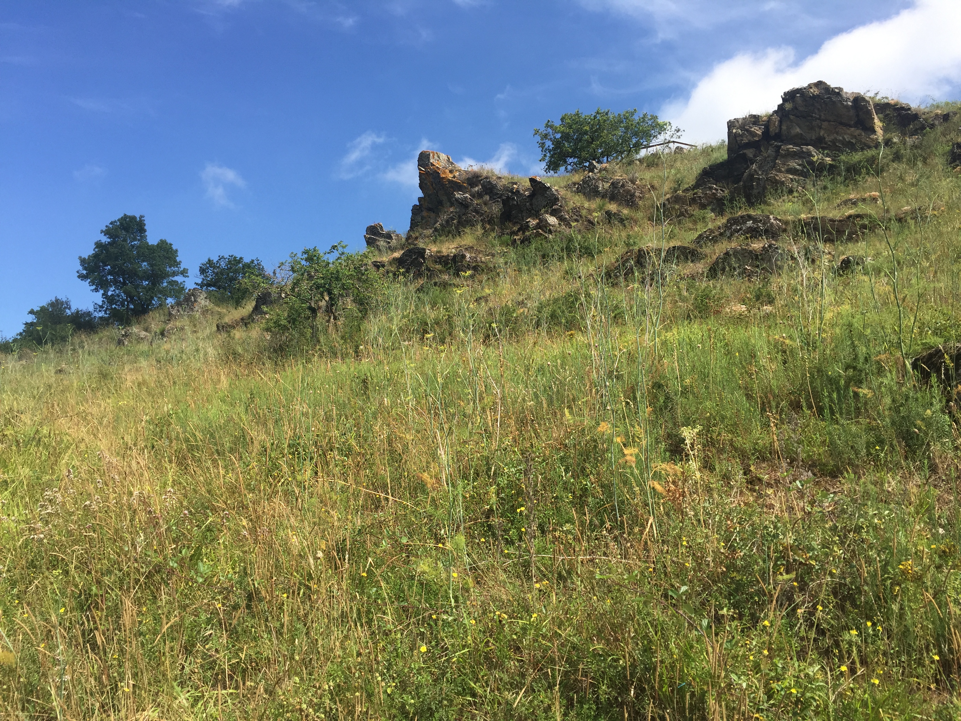 Le Pont-Barré from Saint-Lambert-du-Lattay