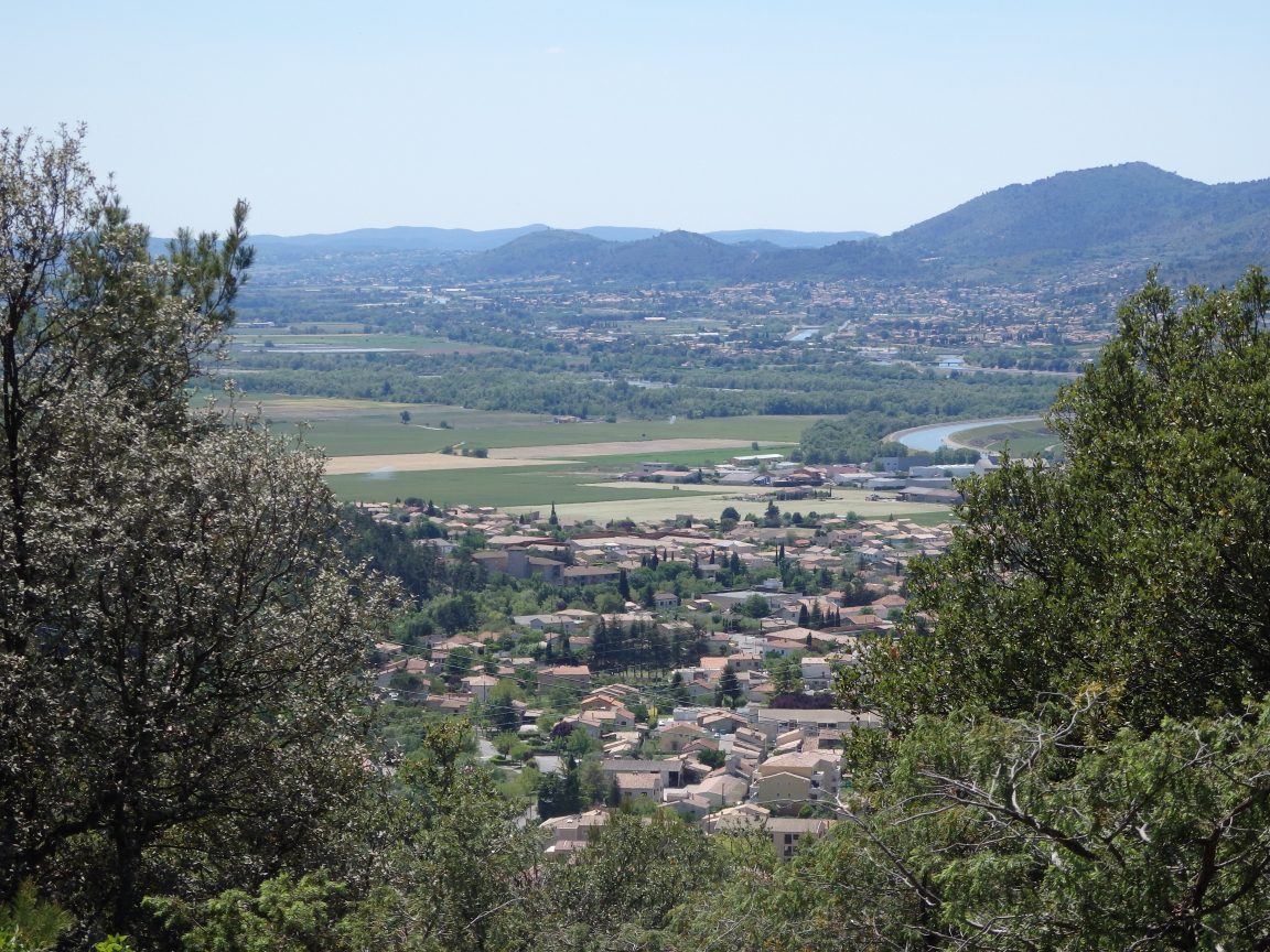 Bois de Saint-Martin