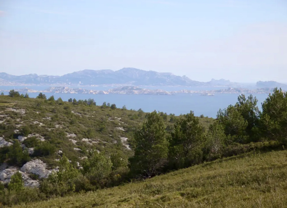 Bourgailles Caucarières