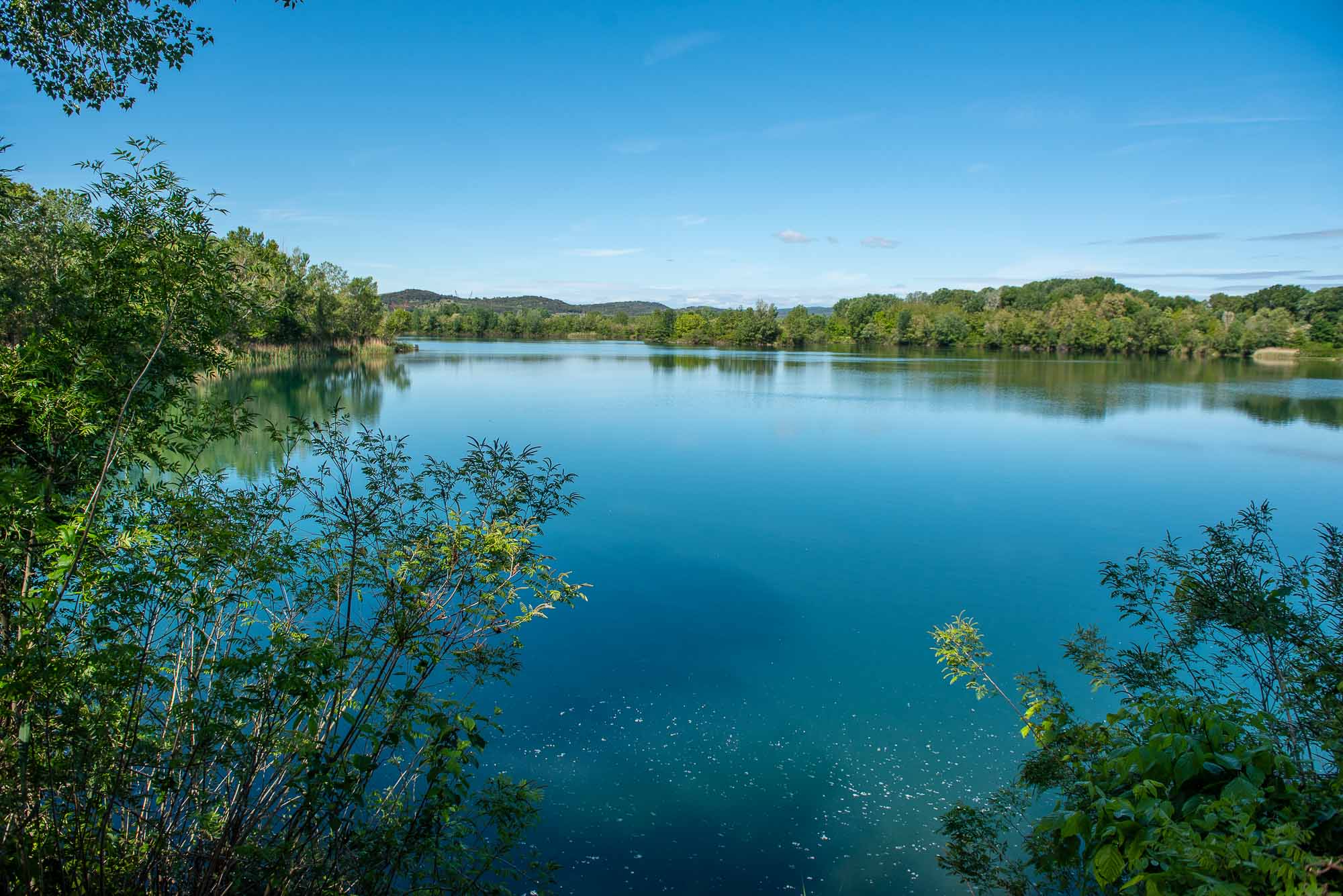 Marais de l'Île Vieille