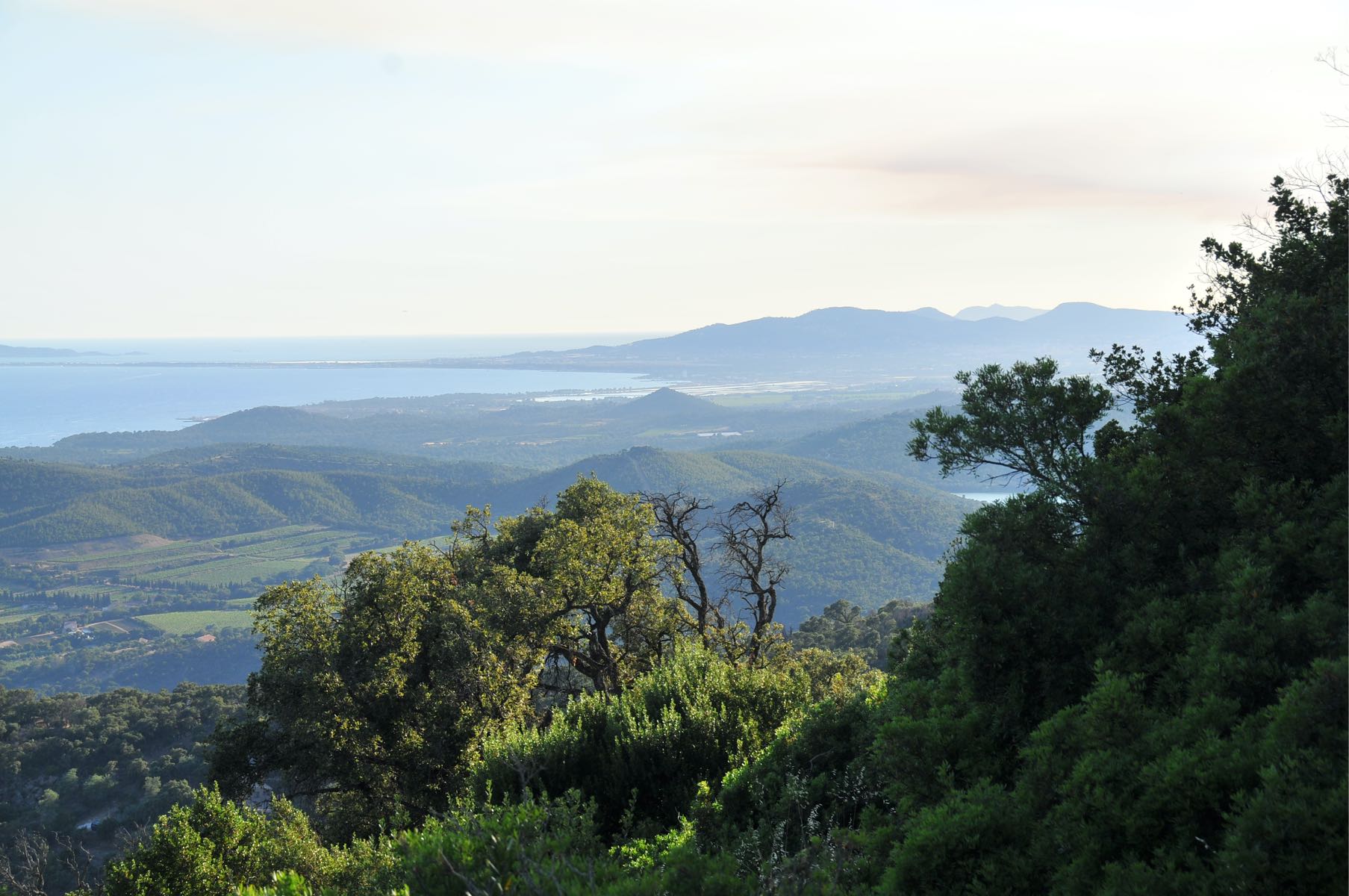 Notre-Dame de Constance
