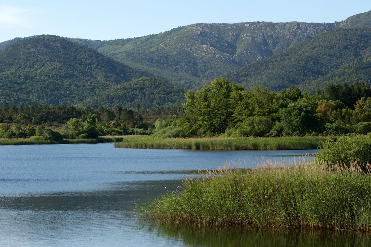 Plaine des Maures