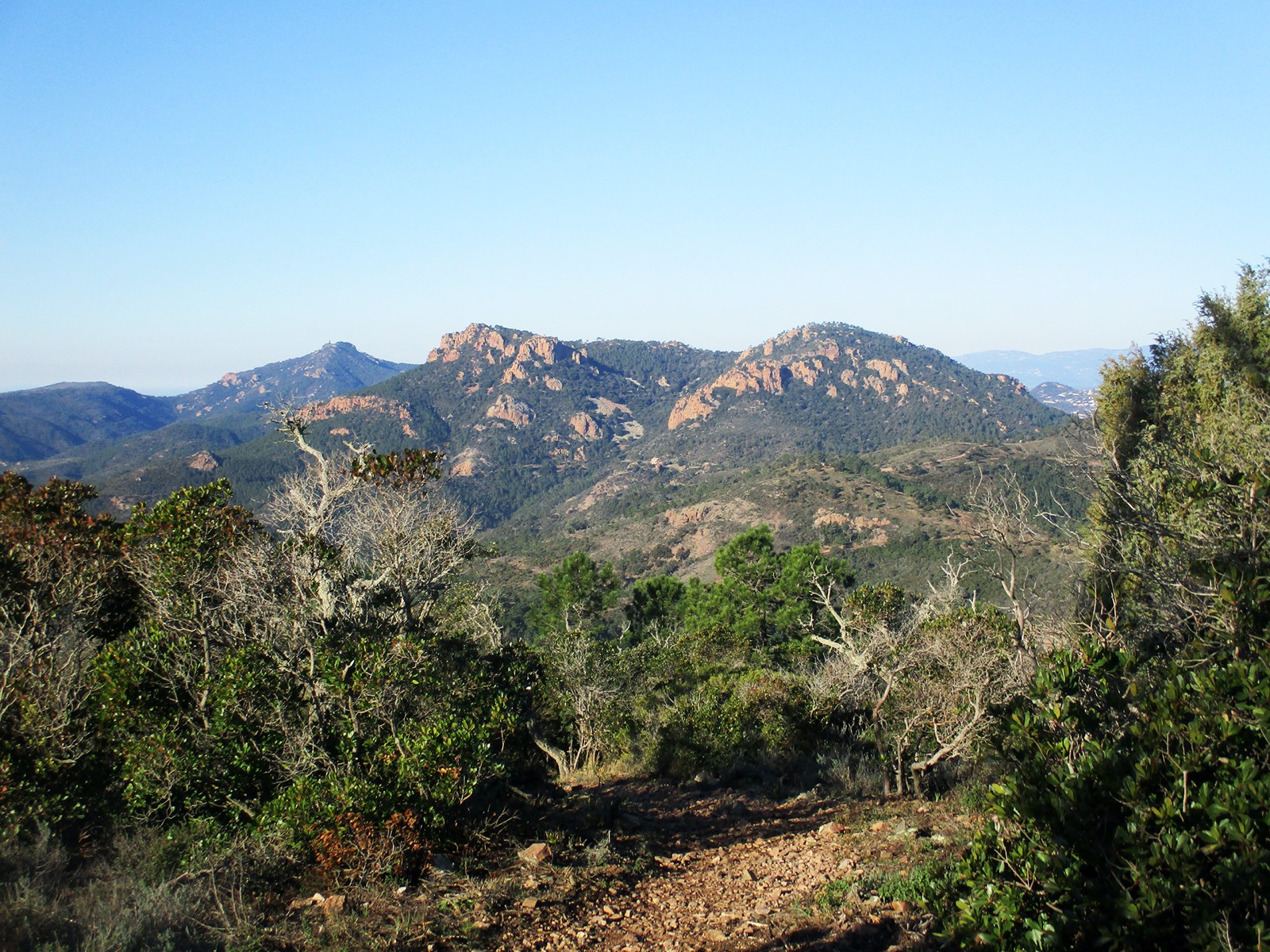 Sommet des Grosses Grues