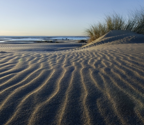 They de la Gracieuse