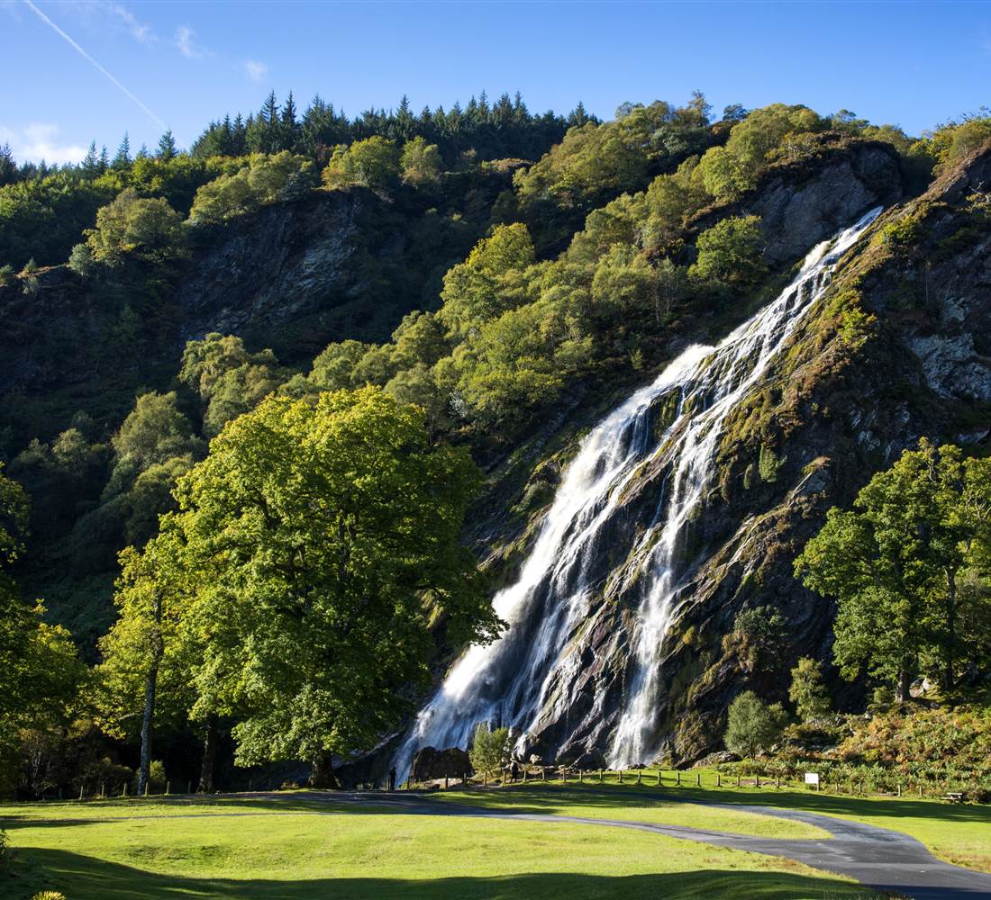 Djouce Wood and Powerscourt Waterfall Loop