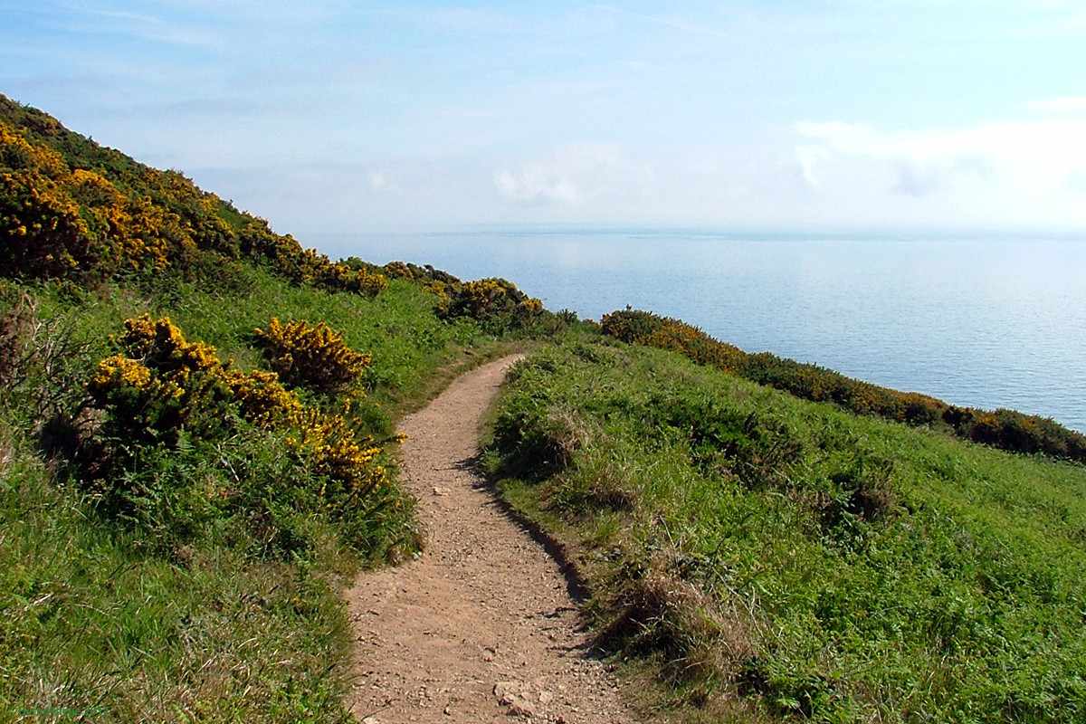 Howth Cliff Loop