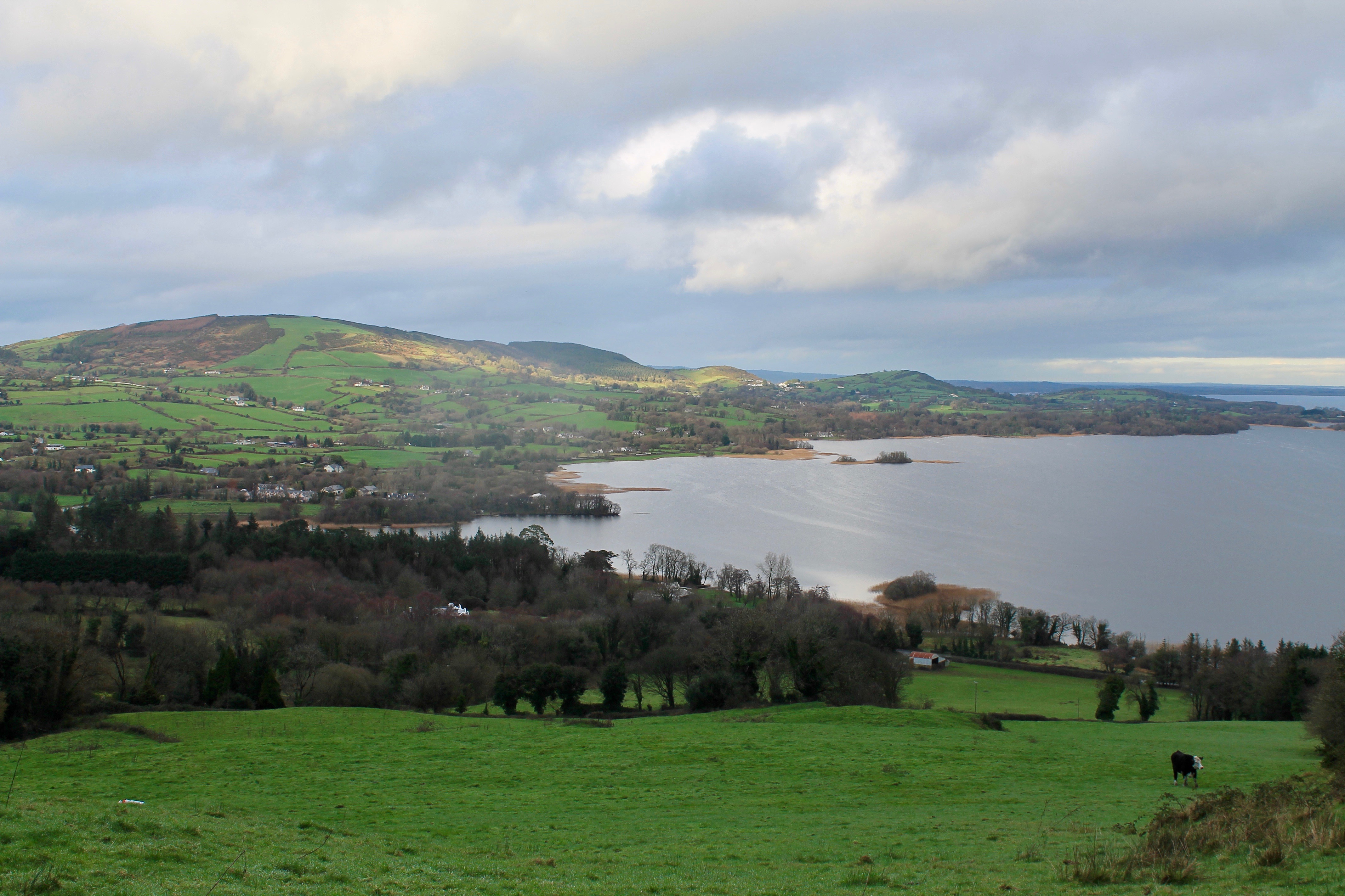 Ballycuggaran Forest and Moylussa