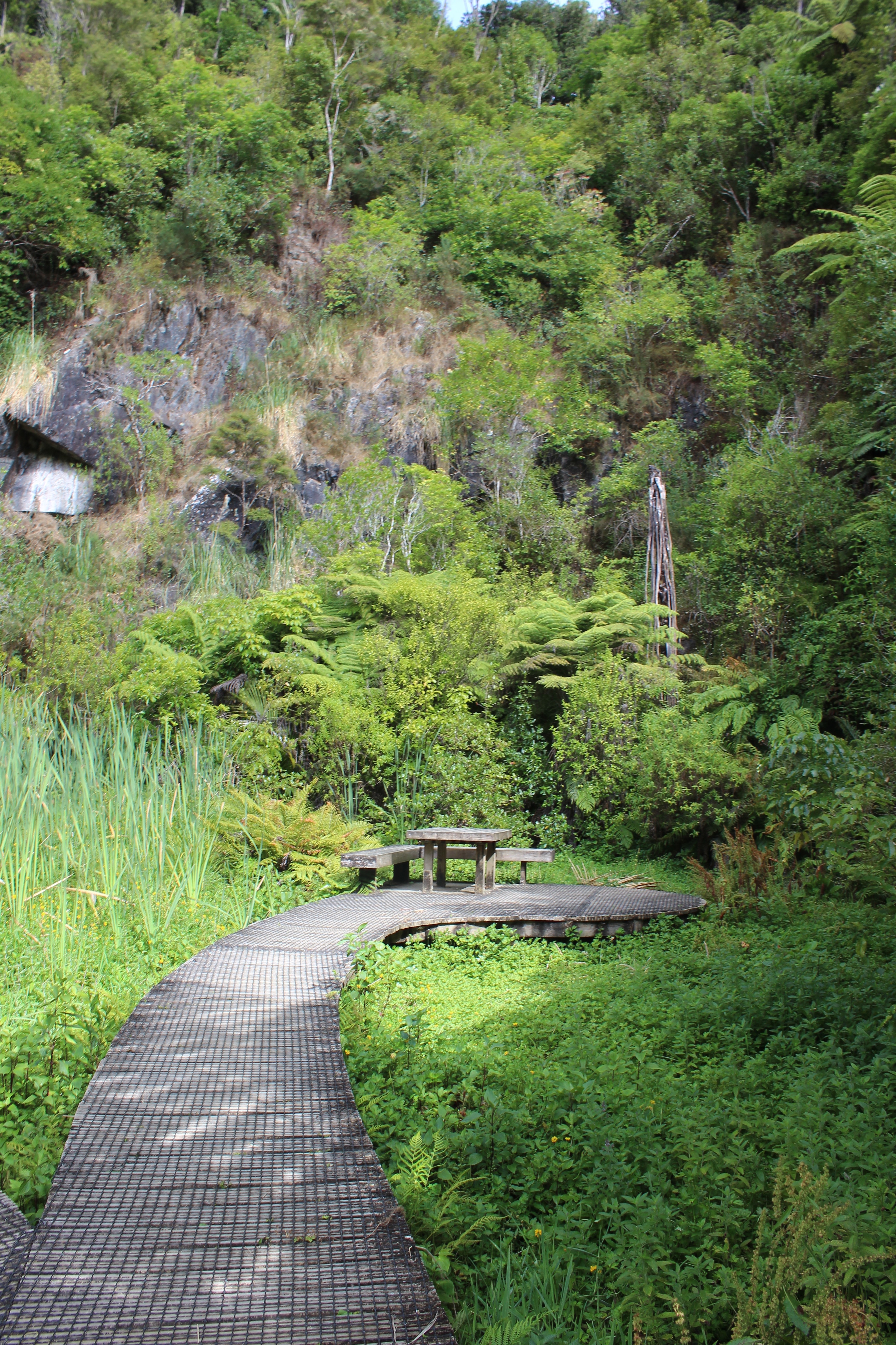 Clevedon Scenic Reserve Track