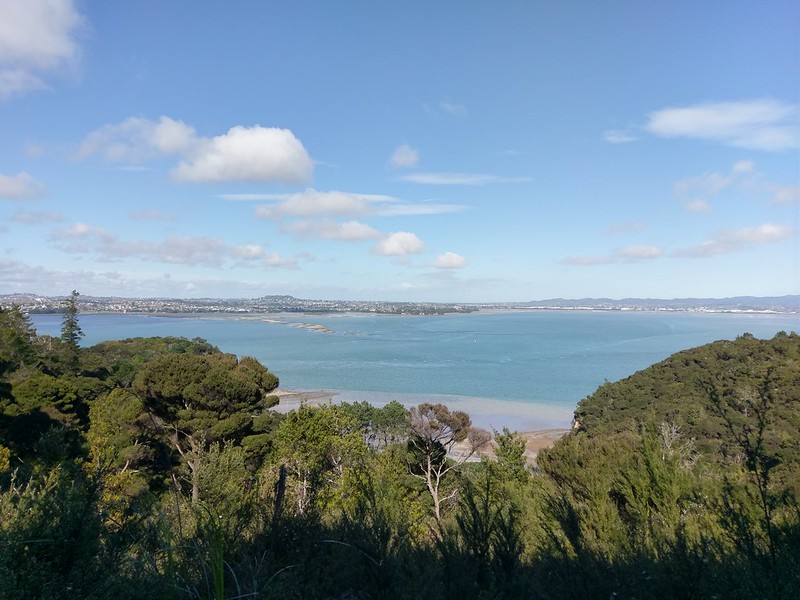 Kauri Point Centennial Path Loop
