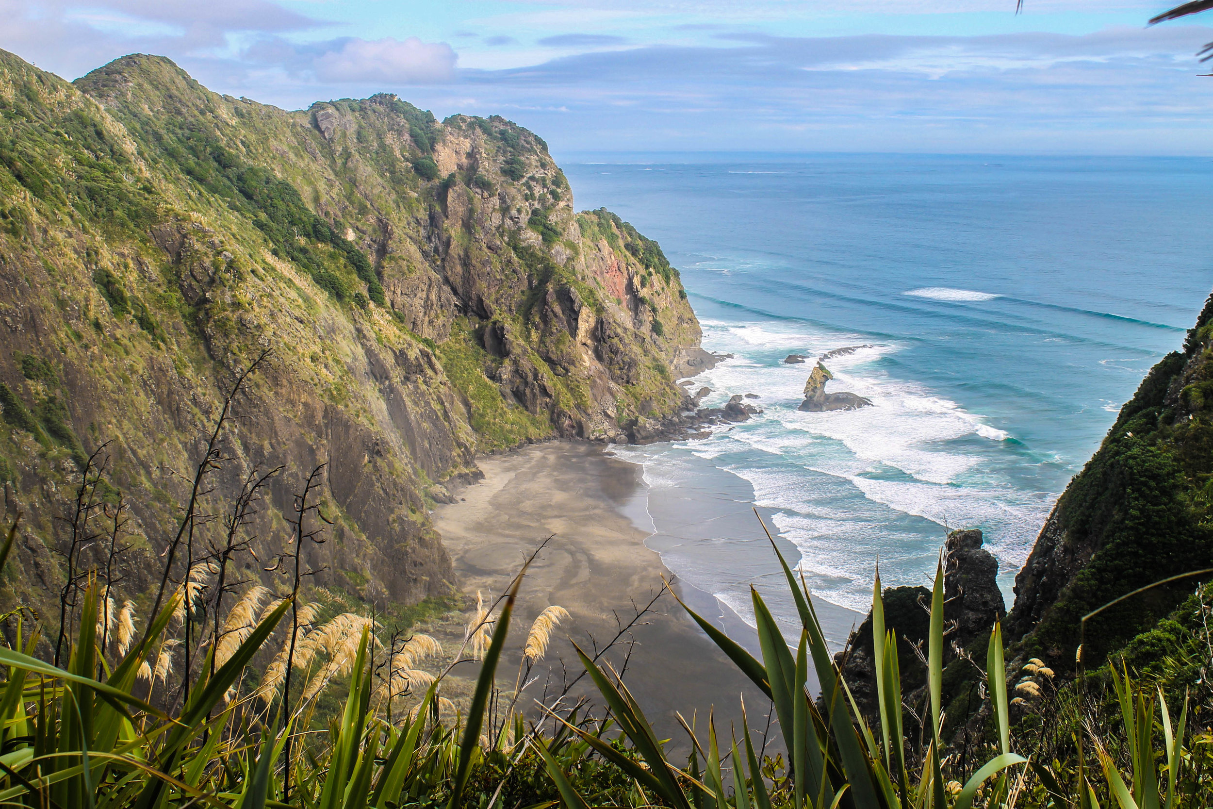 Waitākere Ranges Regional Park