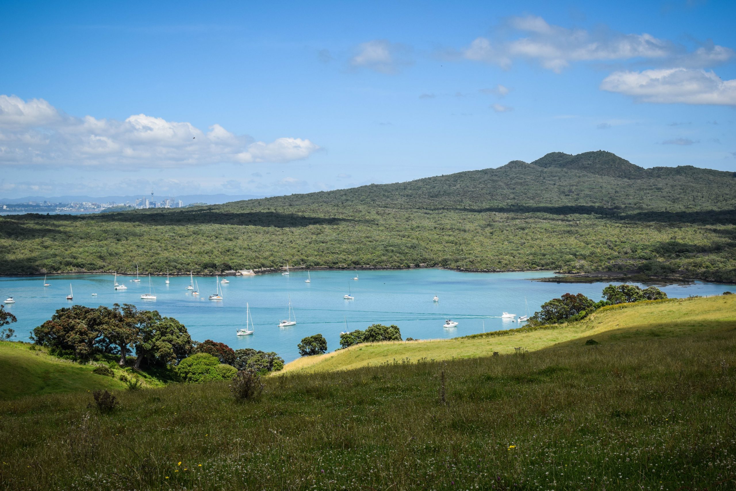 Rangitoto Island Loop