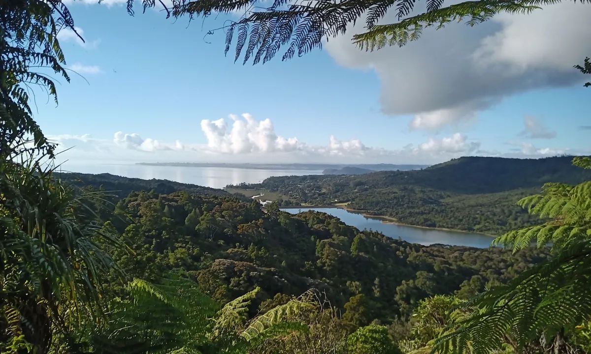 Around Arataki Visitor Center
