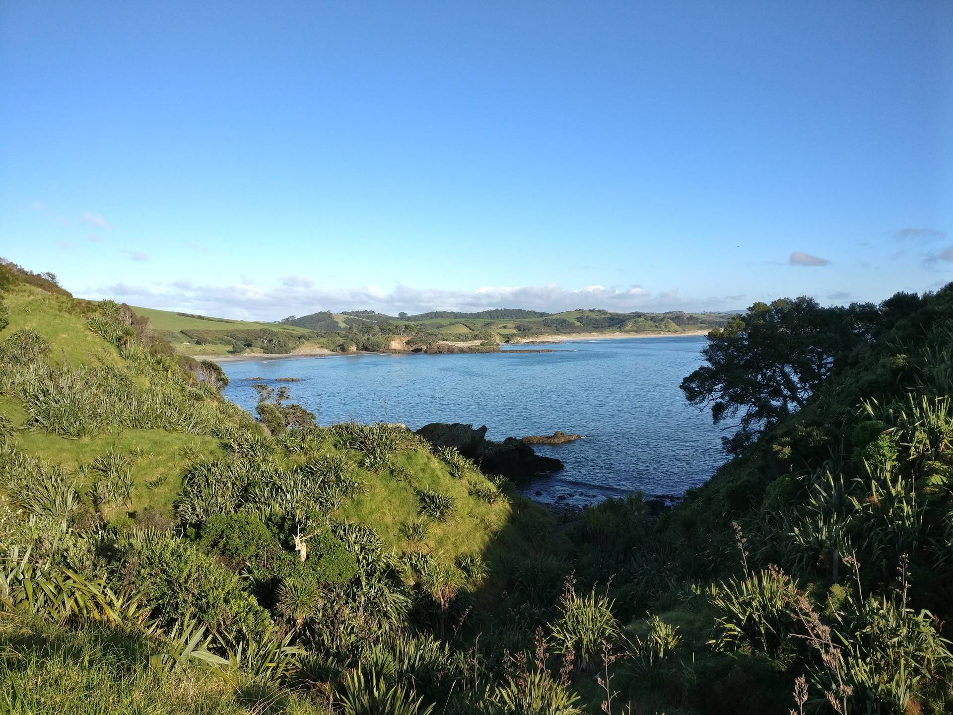 Tawharanui North Coast Track