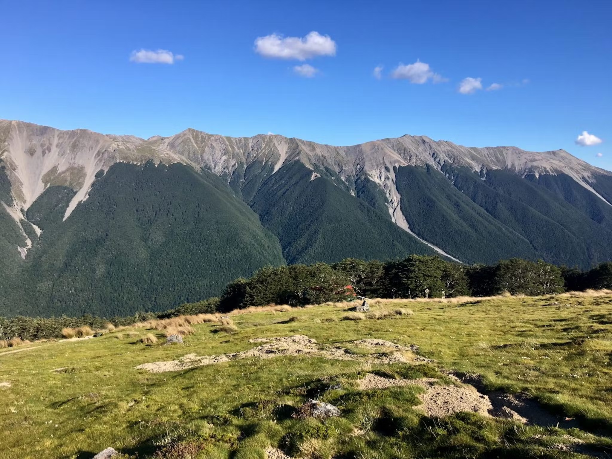 Nelson Lakes National Park