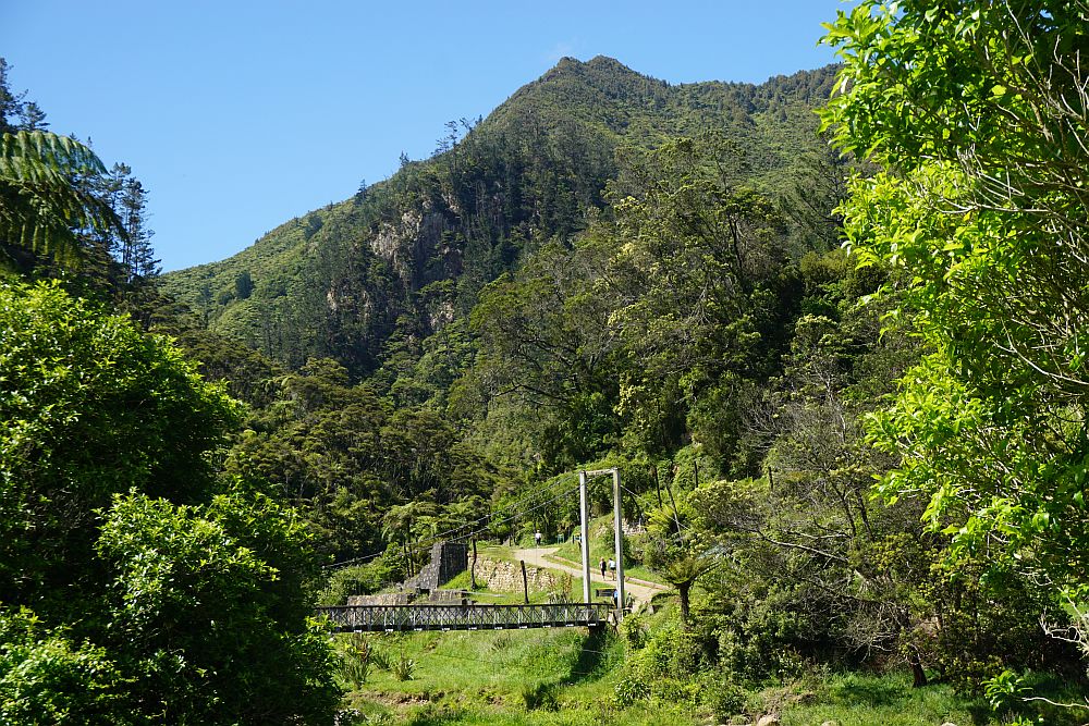 Karangahake Mountain Track