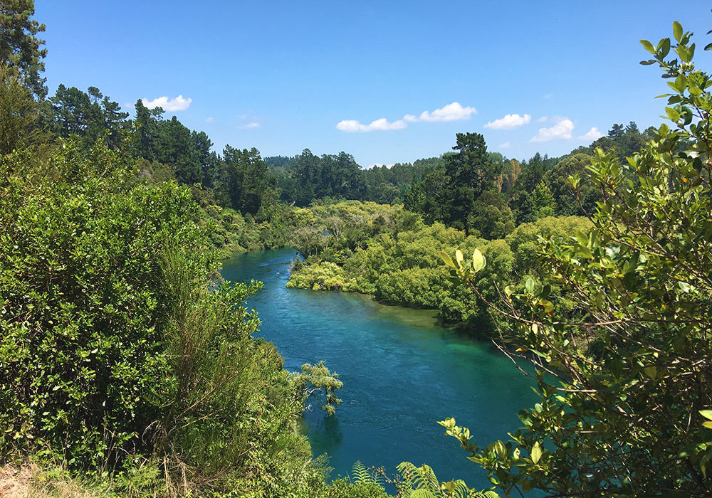 Spa Park to Huka Falls Walk