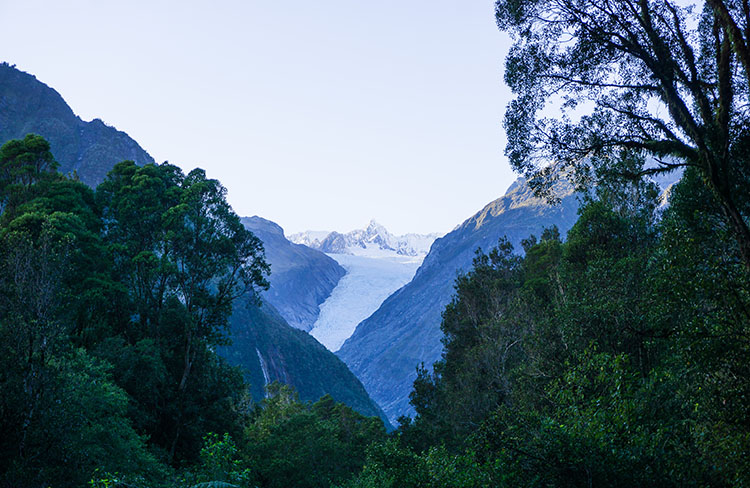 Fox Glacier South Side Walkway