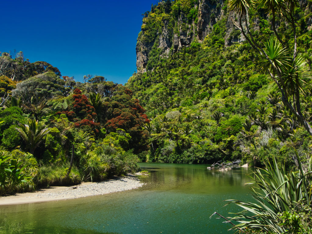 Paparoa National Park