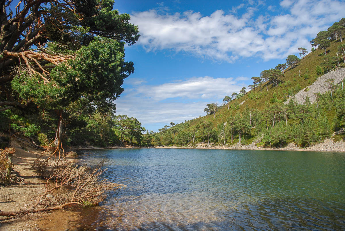 Meall a' Bhuachaille 