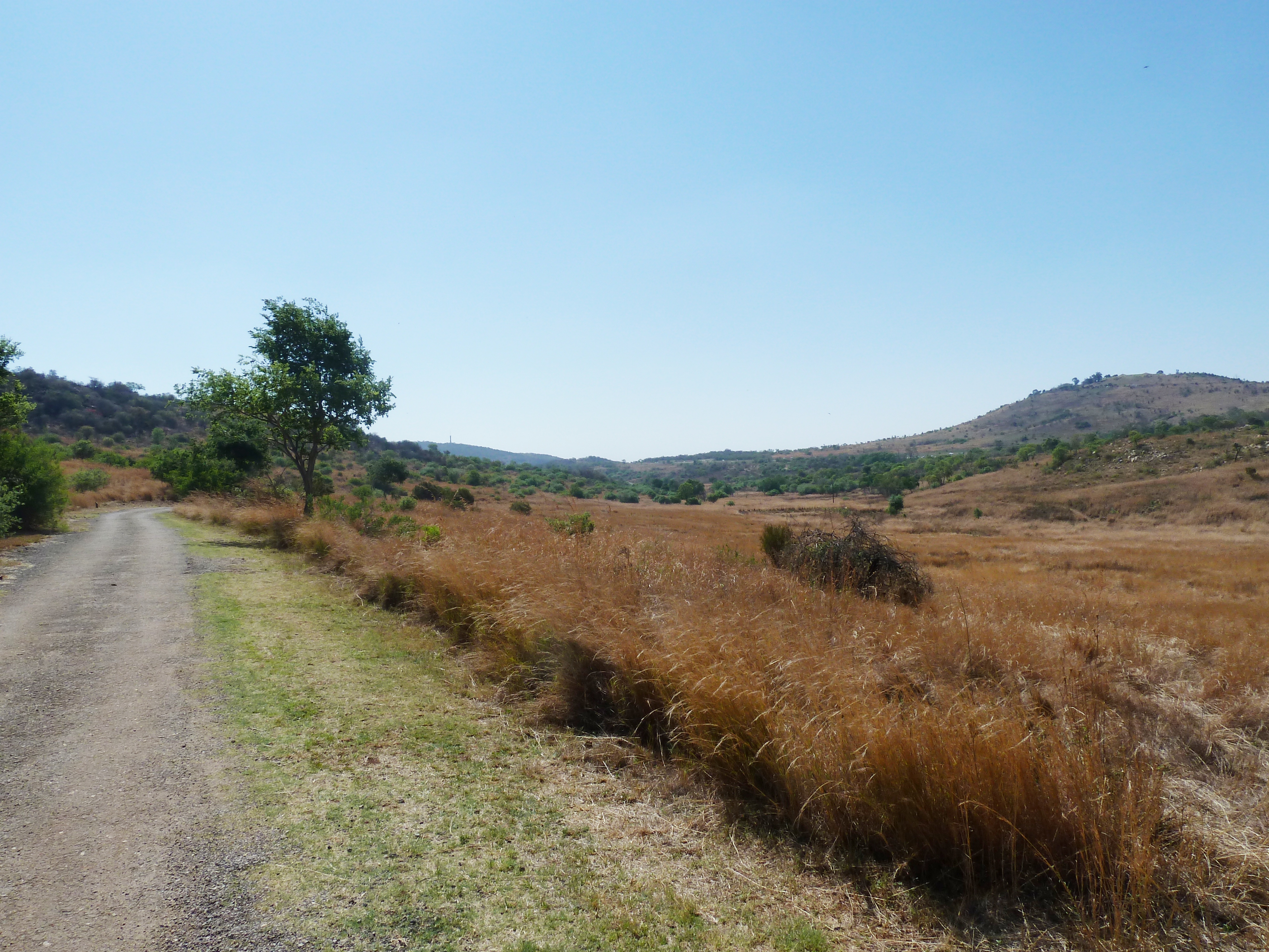 Groenkloof Yellow Trail