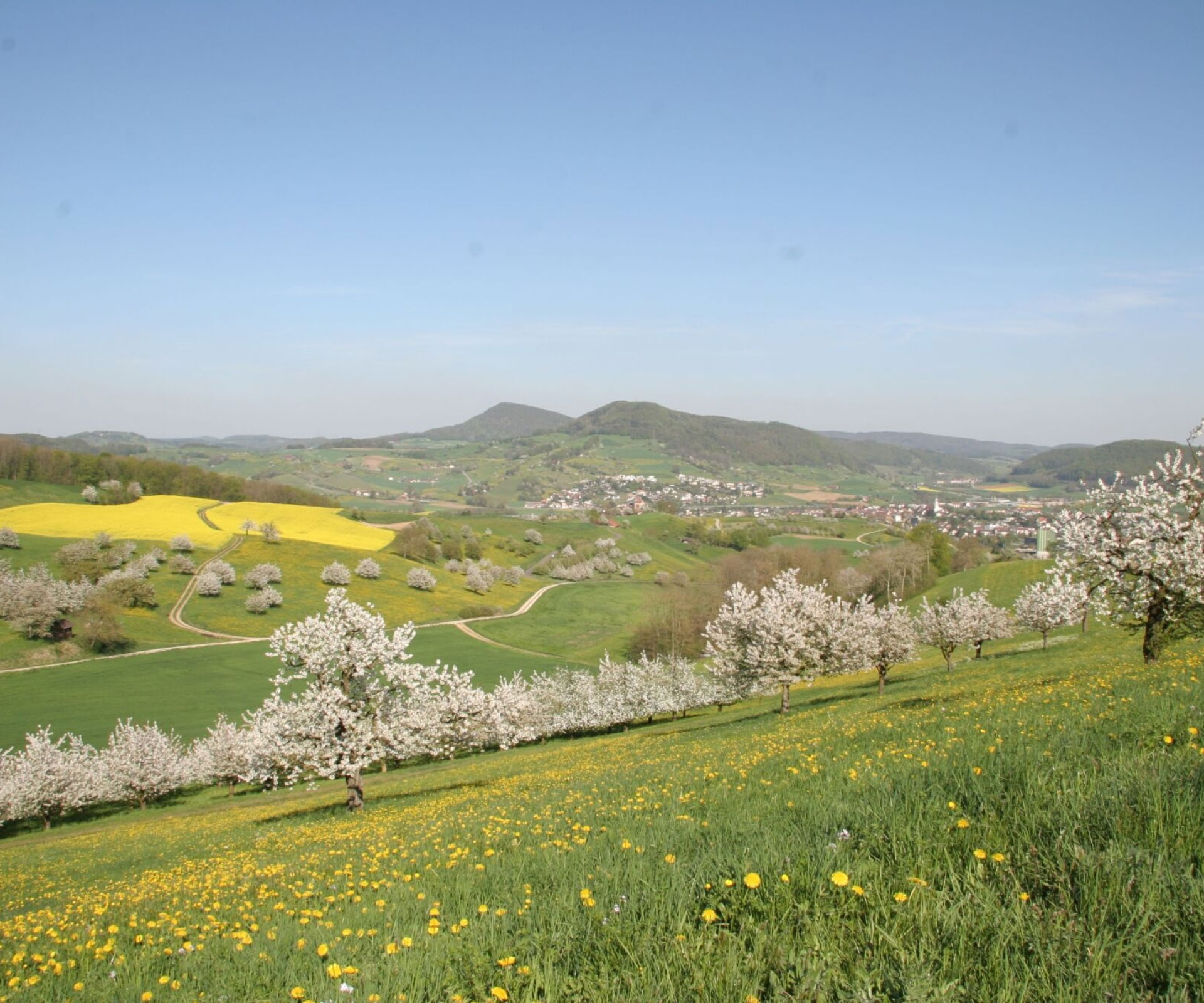 West of Gipf-Oberfrick