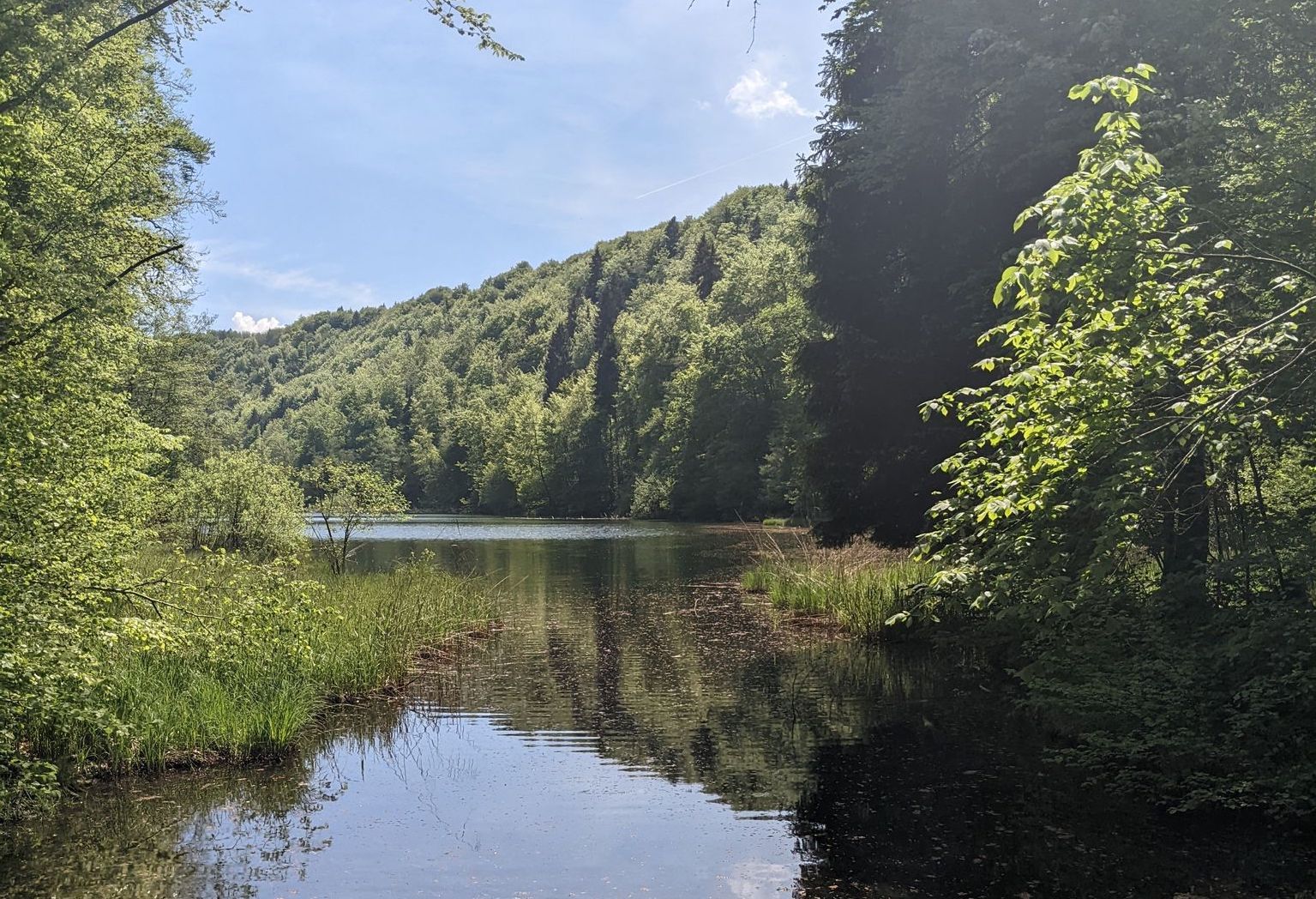 Egelsee from Hasenberg