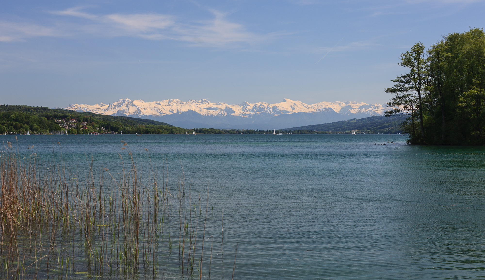 Hallwilersee