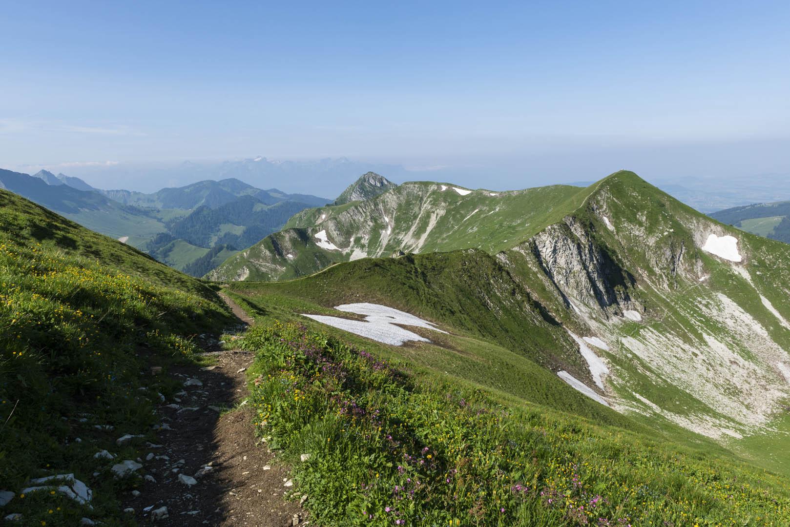 Le Moléson par la crête de Tremetta