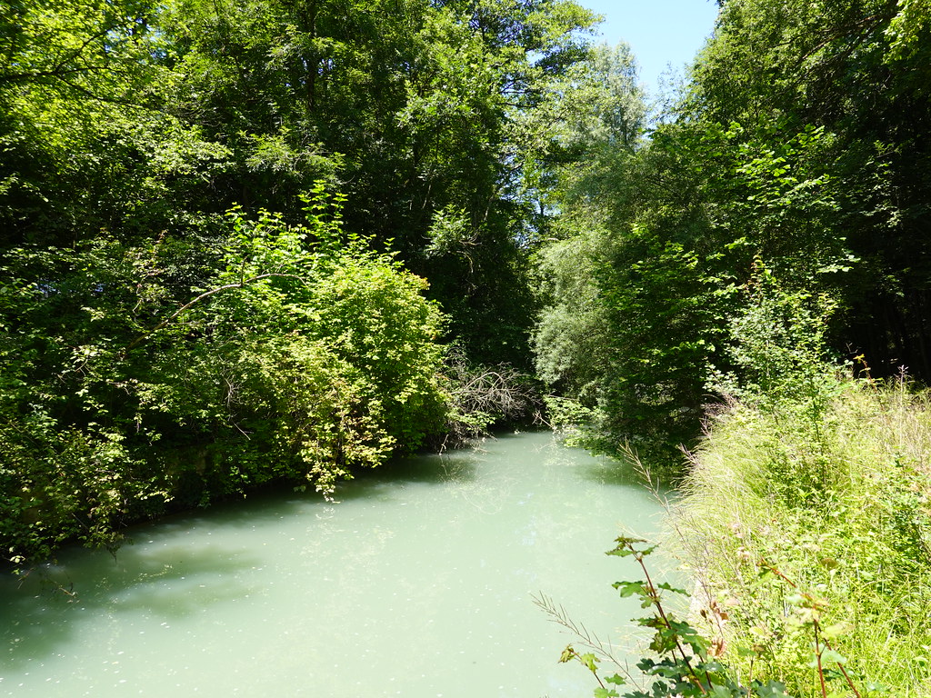 Banks of the Nant-d'Avril
