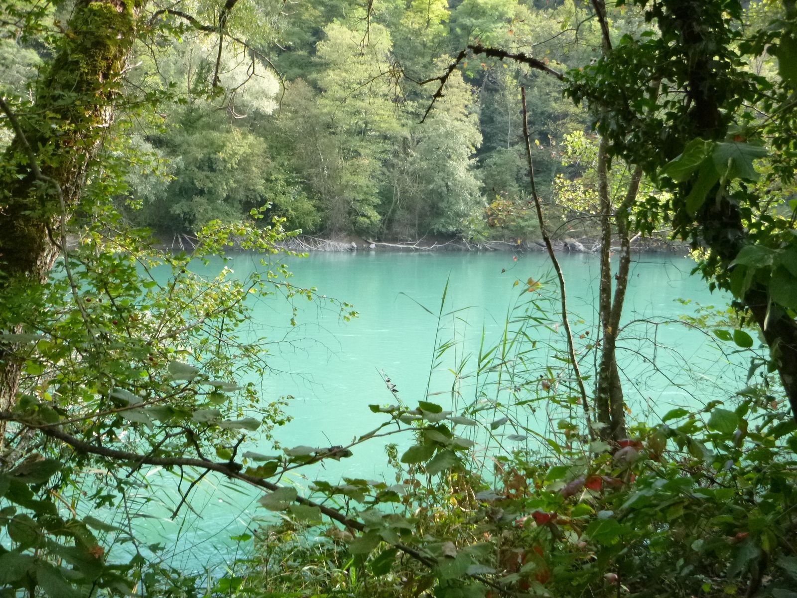 Chemin des Teppes-Du-Biolay