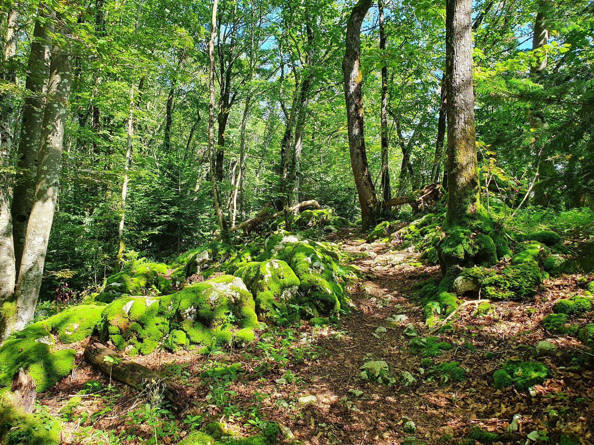 Grottes de Réclère