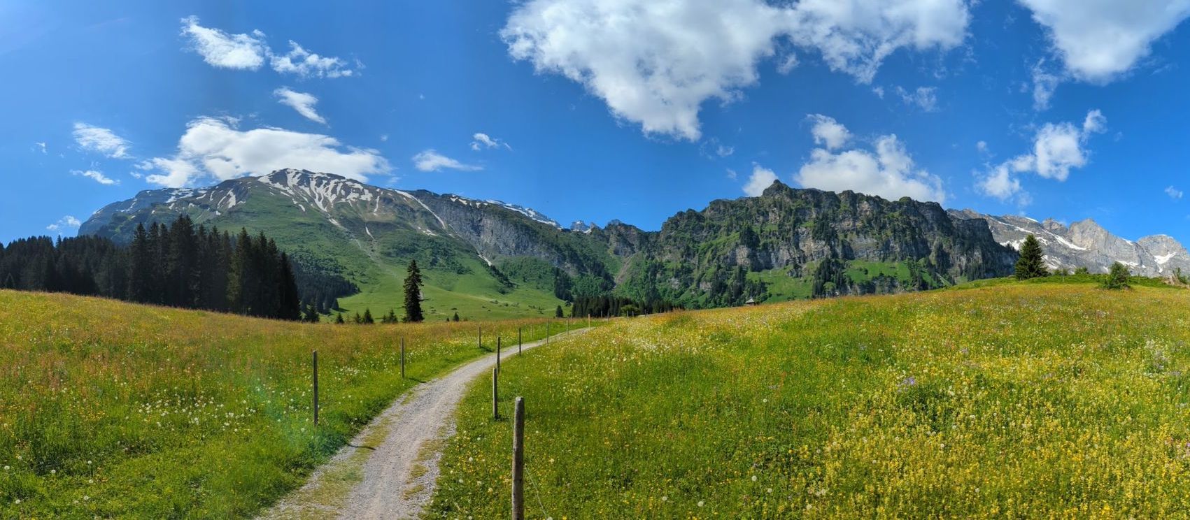 Feldmoos depuis Engelberg