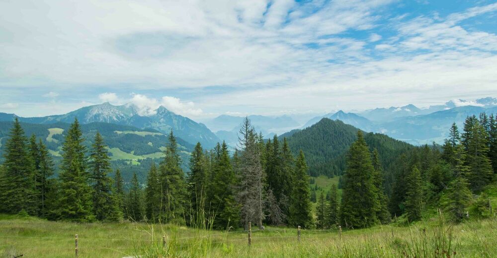 Sentier panoramique de Jänzi