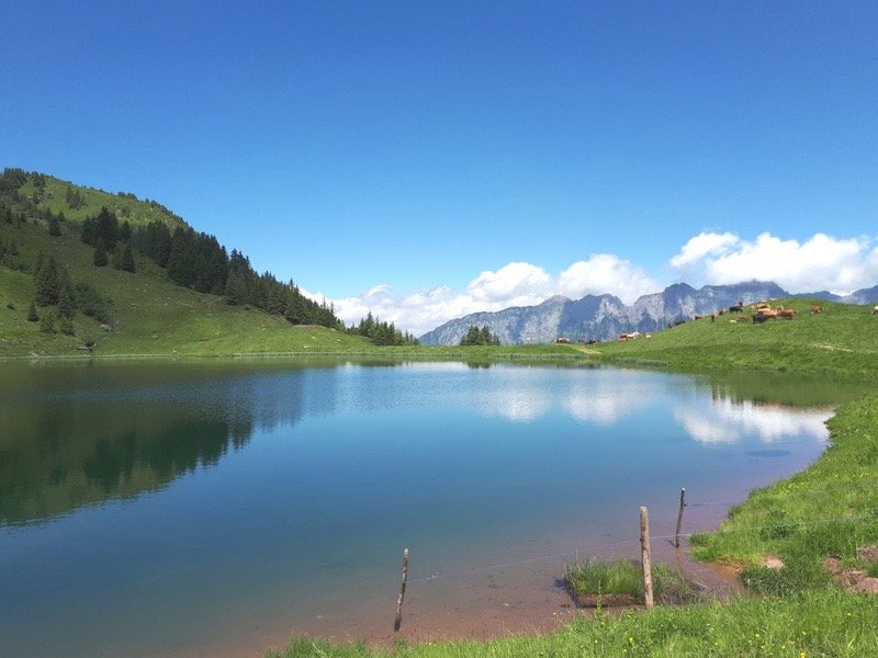 From Tannenboden to Maschgenkamm