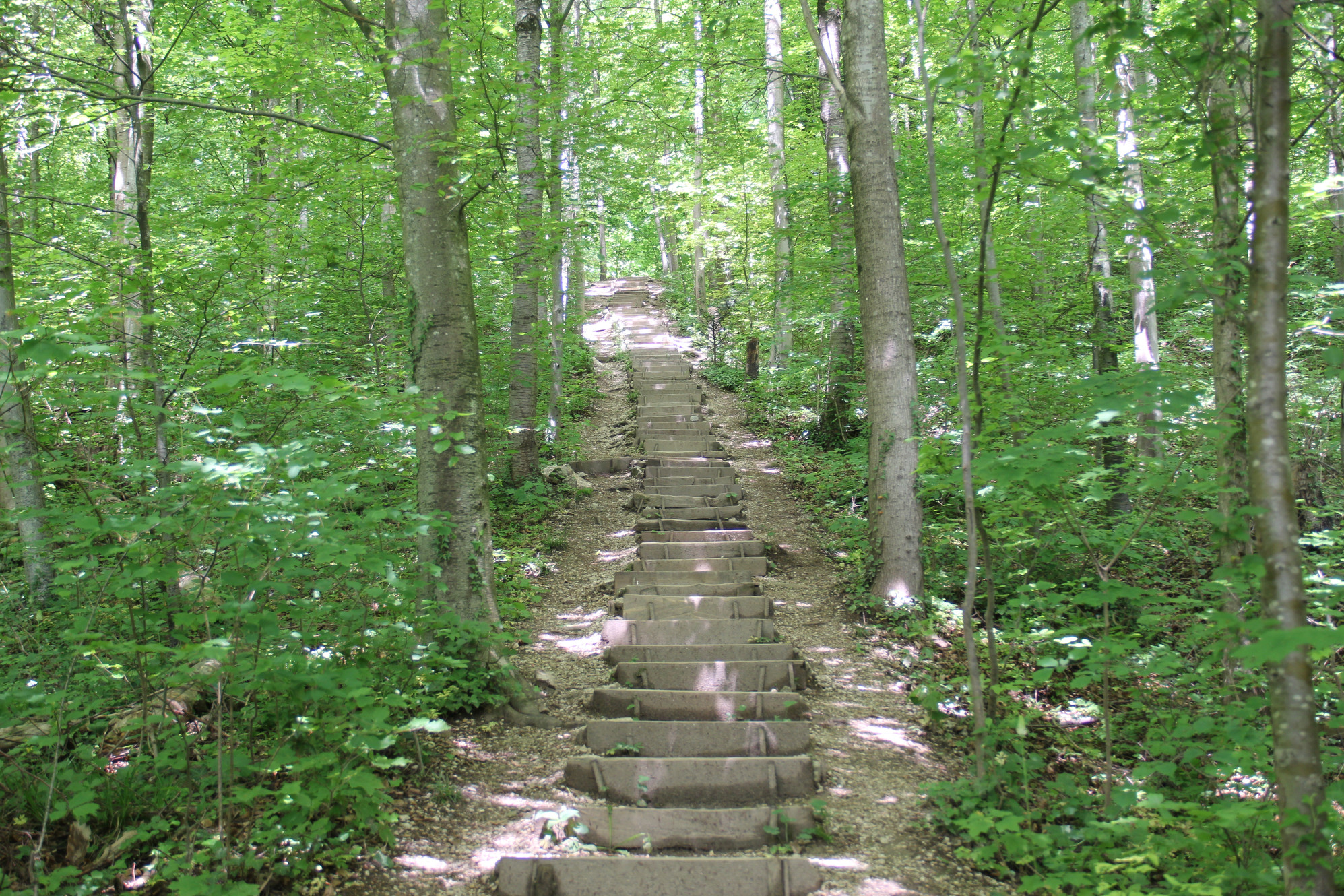 Born via 1000er Stägli