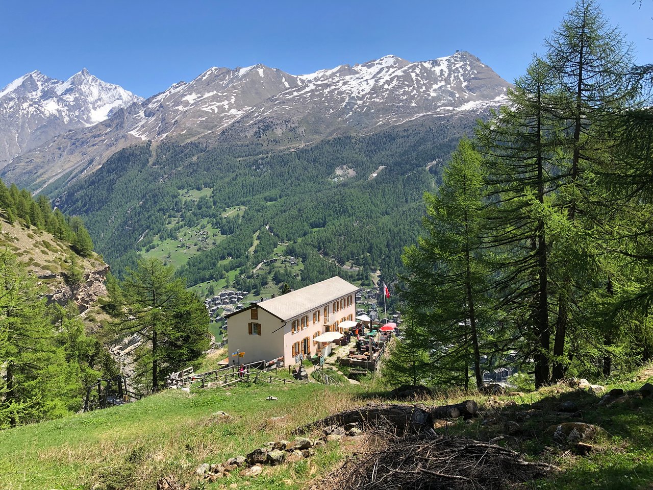 Edelweiss short loop