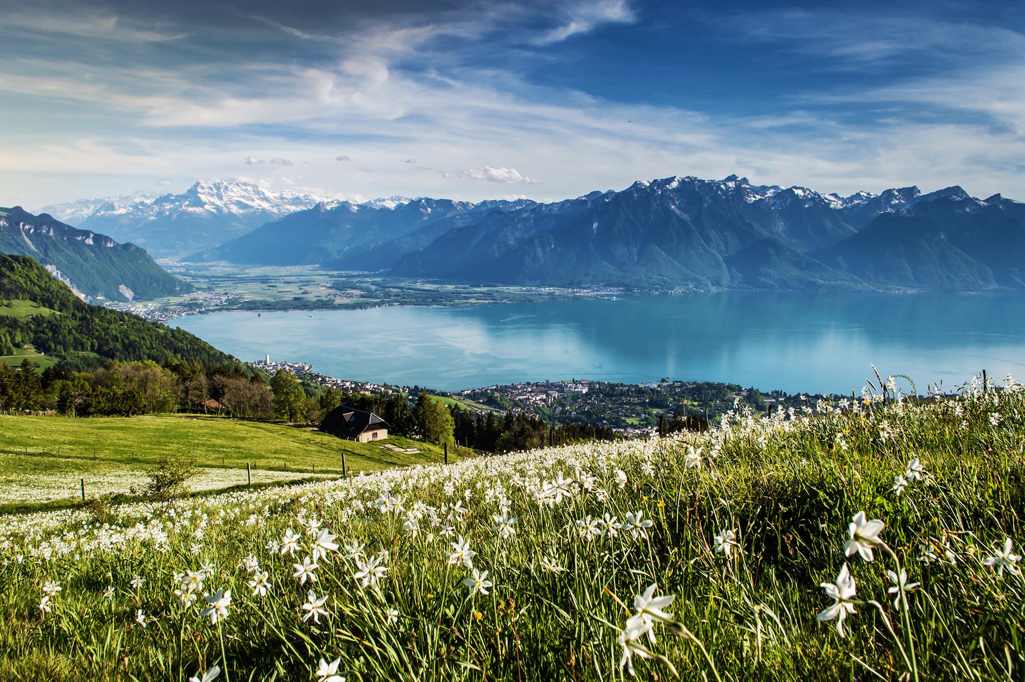 Sentier des Narcisses