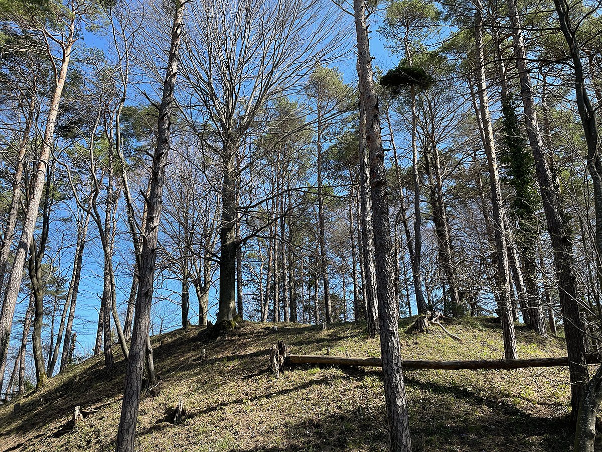 Entre Pfungen et Weiertal