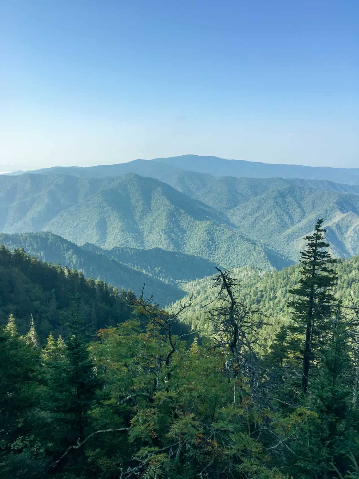 Mount Le Conte 