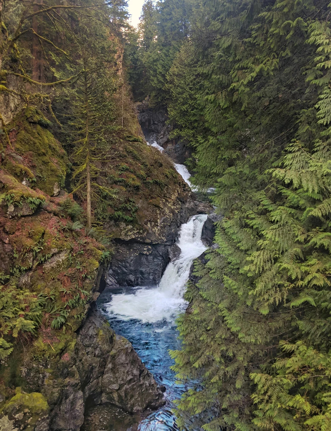 Twin Falls Trail