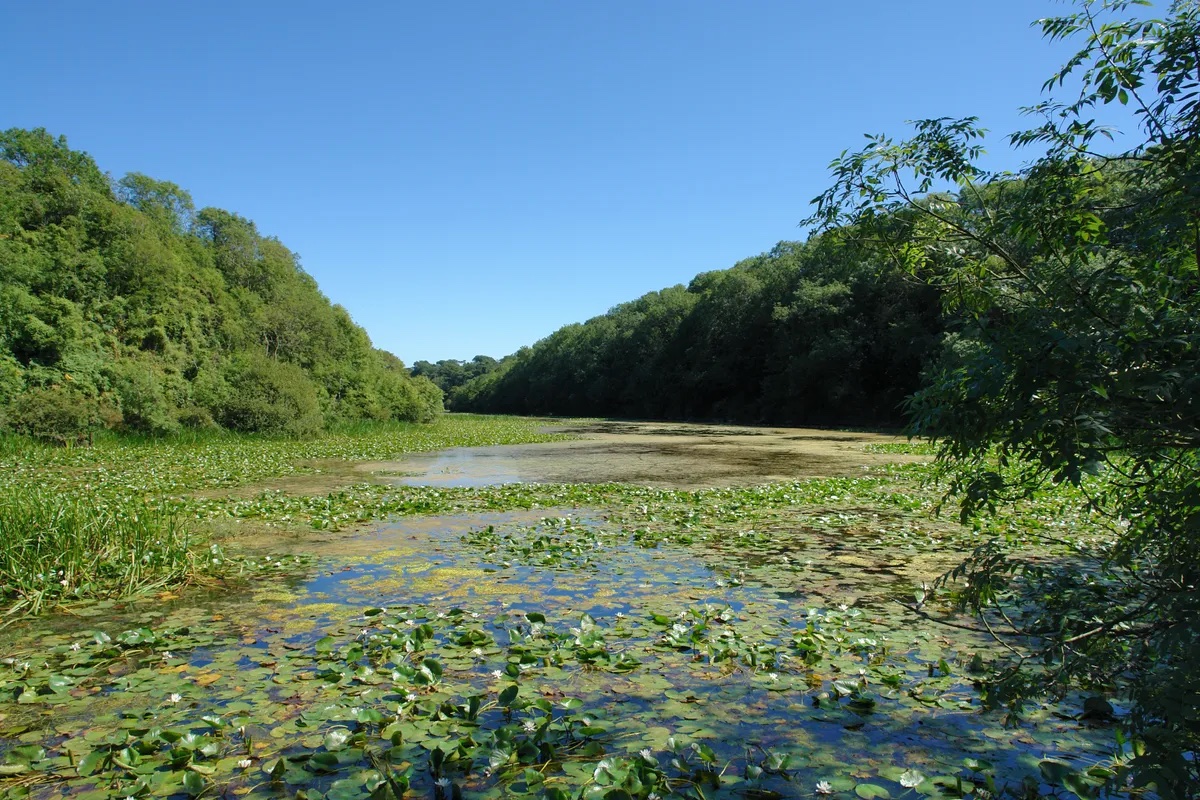 Stackpole Quay and Bosherston Lakes