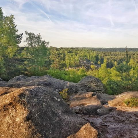 Forêt de Fontainebleau