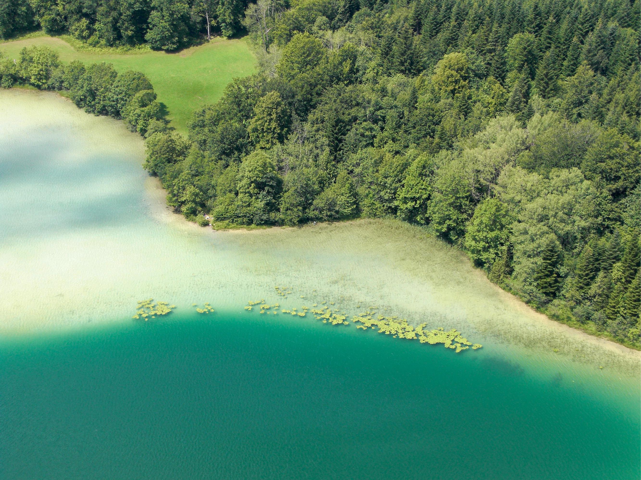 Les 9 plus belles randos du Jura