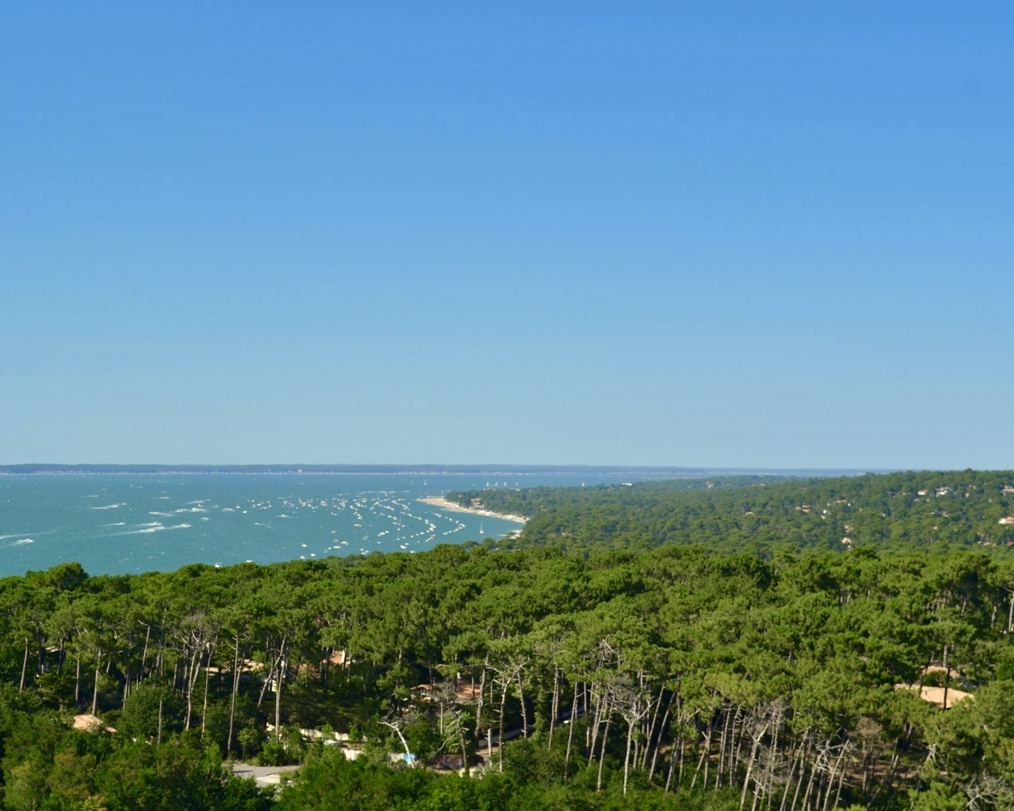 Top 6 trails in the Arcachon Bay